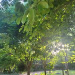 <b>퇴근</b>후에 찍은 숲속<b>사진</b>이야ㅋㅋ