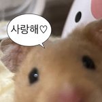 [댓글부탁해] 어제 친구가 한 말 듣고 머리가 띵했음...