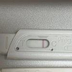 [19] 빼박 <b>한</b><b>줄</b> 맞지?