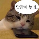 판녀 썸남이 이<b>모지</b> 쓴거 그대로 잘라서 올리면 어떡하냐