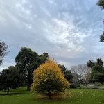 호주에서 대중 교통 이용할 때 조심하세요