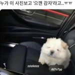 이거 <b>공혁</b>준닮음