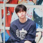 [ZB1] 내 <b>똥강아디</b> 너무 귀여워서 쓰담쓰담