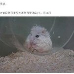 애드라 <b>생결</b> 안좋아하는 쌤한테 <b>생결</b> 매달 쓰면