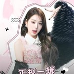 아이브 이번 앨범 중국공구