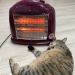 나 168에 48키로<b>일때</b> 살쪗다고 ㅈㄴ징징댓엇는데