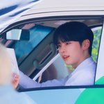 [ZB1] 햄냥이 <b>운전석</b> 더 왔다