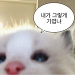 [드루와] 나 과씨씨하다 헤어지고 <b>반년</b>후에 재결합함