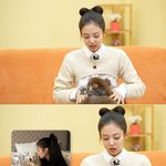 최근 첫째 반려견 카이를 <b>하늘</b>나라로 떠나보낸 제니