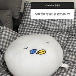 [ZB1] 한빈이가 동생한테 선물한 <b>쿠션</b>ㅋㅋㅋㅋ