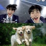 [ZB1] 아 태건브이 <b>개털</b> ㅈㄴ날려