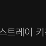 스키즈 <b>진입</b> 100위