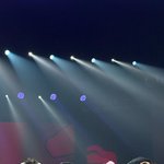 레드벨벳 토끼 머리띠한 거 너무 귀엽다