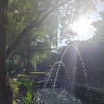 우리집앞 공원에 연못 <b>분수</b>