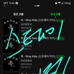 [스키즈] 선물 <b>완료</b>!