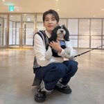 세븐틴 강아지들 다 <b>주인</b>닮지않음?