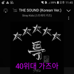 [스키즈] 40위대가<b>보즈</b>아