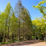 프로미스나인 <b>mv</b> 유출본 뜬 이후 2달만에 뮵 티져 뜸