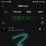 [스키즈] 음원 <b>다운</b>받았는데