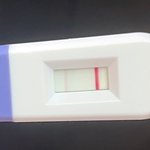 [19] 임신테스트기좀 제발봐주라...