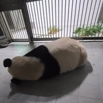 [댓글부탁해] 공기업 <b>엑셀</b>