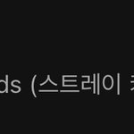 [스키즈] 스밍 <b>화이팅</b>하쟈...
