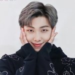방탄 <b>알</b><b>엠</b>