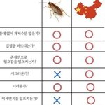 방탄>>>>>펑<b>티모</b>