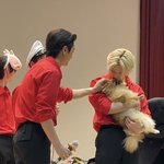 엔하이픈 팬싸장에 강아지 <b>등장</b>함 진짜 강아지임