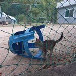 [19] 혐주의 이거 <b>모낭염</b>이지??