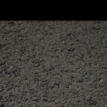 이게 무슨 <b>곤충</b>인가요…