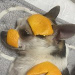 아 <b>이</b> 곰탱이 새<b>키</b>…..