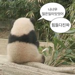 너네 친구랑 <b>디엠</b>함?