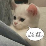 나 진짜 <b>레전드</b> <b>판</b>녀