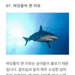 <b>바닷물</b>이 짠 이유 너네만 알려줌