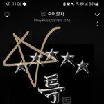 [스키즈] 와 리노 <b>모자</b> 또 잡음