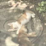 아파트 1층 유일한 <b>장점</b>..