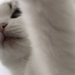 [19] 어제 전기<b>장판</b> 틀고잠 …