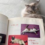 [19] _댄거같은데 담학기 휴학할까