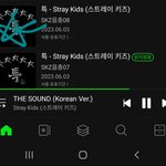 [스키즈] 음<b>총팀</b> 계셔여?
