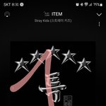 [스키즈] ⭐️ 특특특