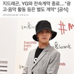 [드루와] <b>Yg</b> 지디랑 계약 종료 확정