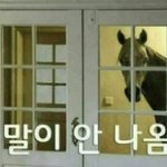 [ZB1] 앞으로 디자인 <b>업무</b>는 그냥 리키가 하자