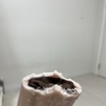 니네 <b>옥동자</b> 딸기맛 초코바뀐거알고있냐