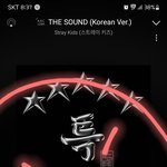 [스키즈] 우리 <b>다음</b>주