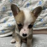 <b>꼬물</b>이 같이봐요