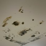 <b>이사온</b> 집 누수와 곰팡이로 미치겠습니다 ㅠ 조언 부탁드려요