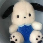 내 삶의 유일한 이유가 남자친구였는데