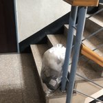 너희도 집안에 <b>날파리</b> 꼬인다고 쓰레기 문 앞에 둬?