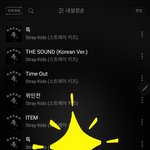 [스키즈] 고소 한다 어쩐다하니